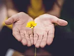 Lina trochez ktpkyus3qjs unsplash pereyritus 1