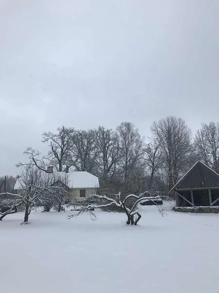 What&#x27;s Hidden Under the &#x27;Snow Cover&#x27; in Your Company?