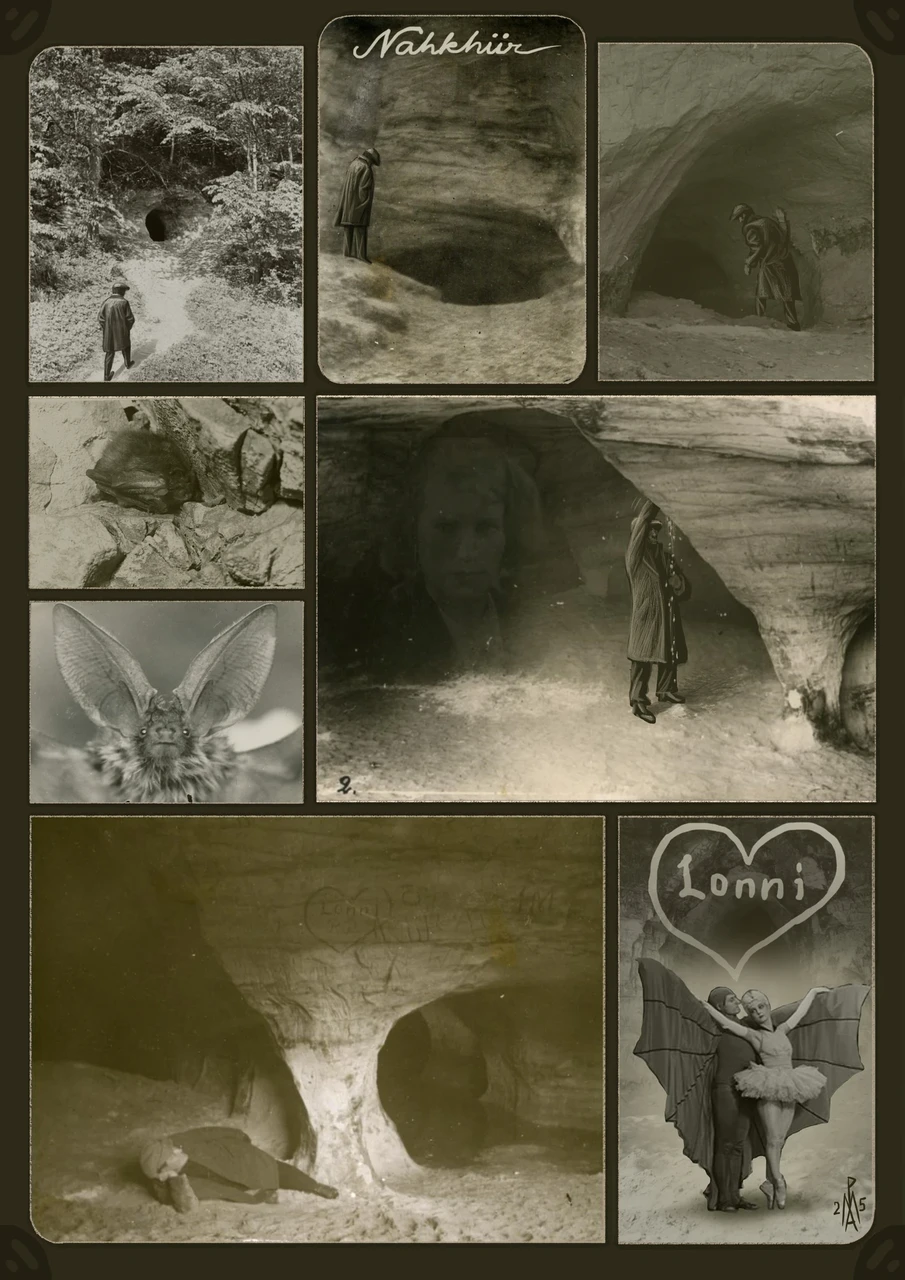 Mark Antonius Puhkan "Nahkhiir"