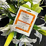 Born to bio invigorating blood orange face mask 20ml 3701488802670 lr2 800x