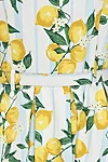 Banned Retro June Lemon & Stripes kleit