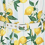 Banned retro june lemon & stripes kleit – vintage suvekleit 10