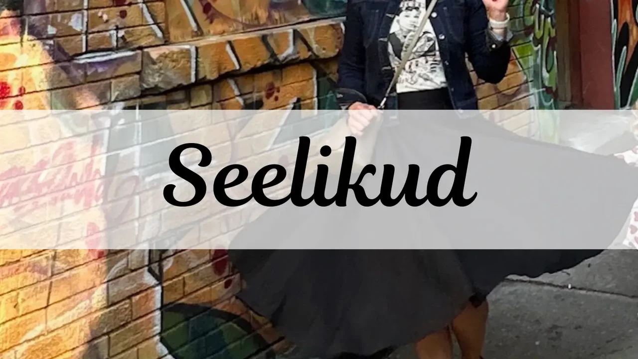 Western, rockabilly ja vintage stiilis seelikud