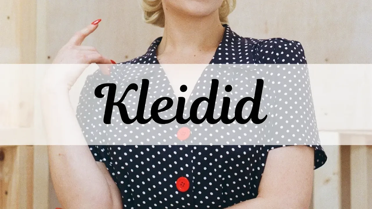 Vintage, rockabilly ja 50ndate stiilis kleidid