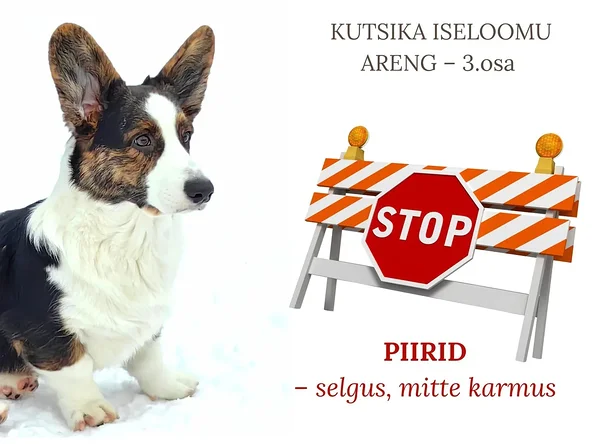 Piirid