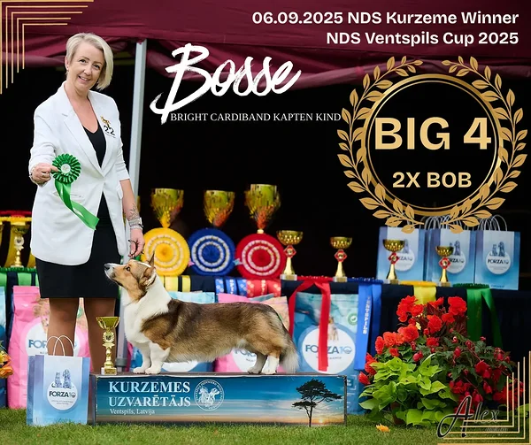 Bright Cardiband Kapten Kind ehk Bosse