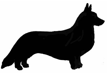 Welsh corgi cardigan