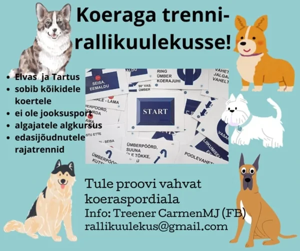Rallikuulekus Carmeniga