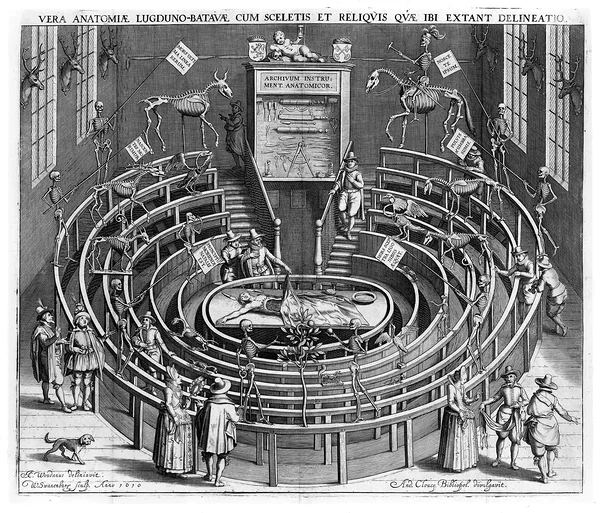 Theatrum anatomicum in Leiden (das in Basel war sehr ähnlich).