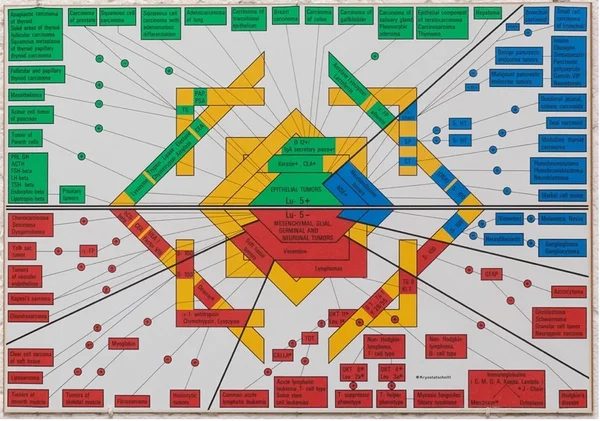 Schema der komplexen Anwendung immunchemischer Tests in der Diagnostik.