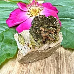 Img 0248