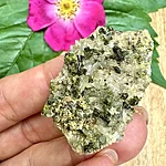 Img 0251 1