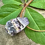 Img 0807