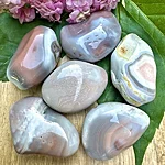 Img 4538