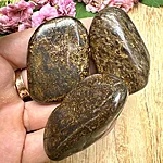 Img 5857