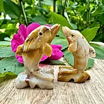 Img 9471 1