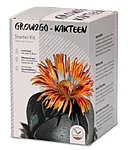 Kaktuse stardikomplekt – elav graniit