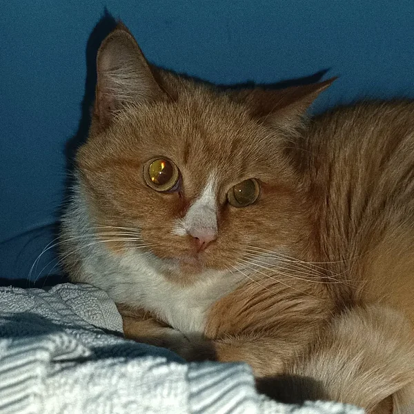 Img 20260105 090551 large block