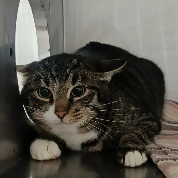 Img 20260110 090109 large block