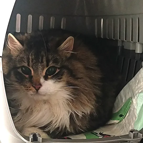 Img 20260110 090138 large block