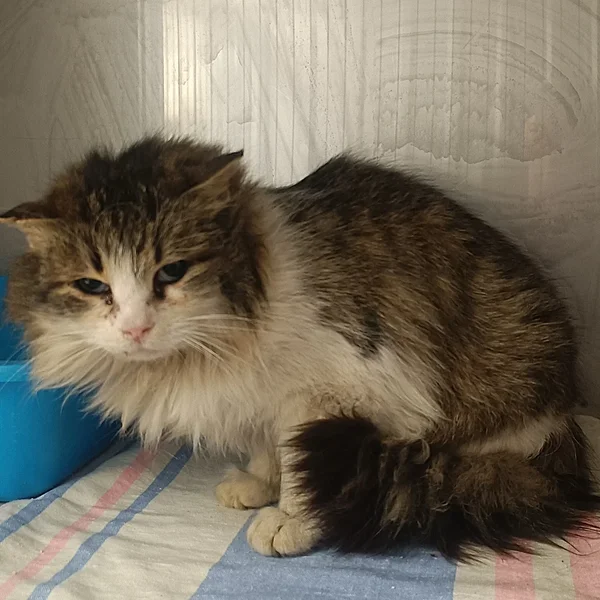 Img 20260211 085824 block