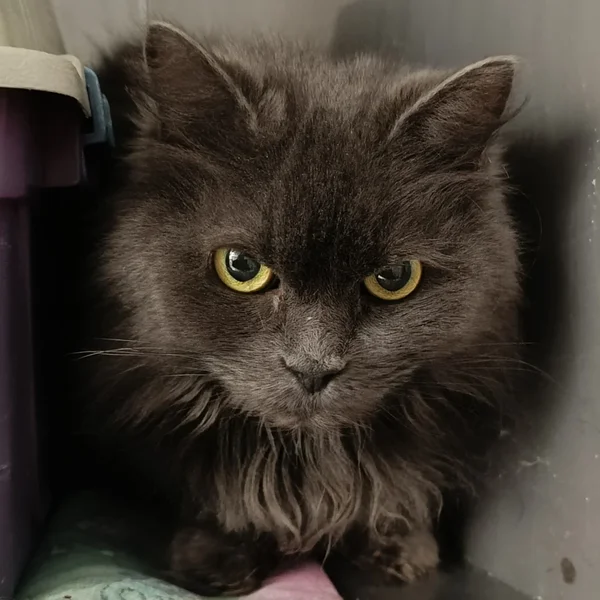 Img 20260218 084557 block