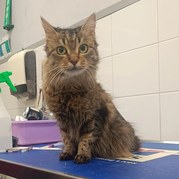 Img 20260309 144049 block