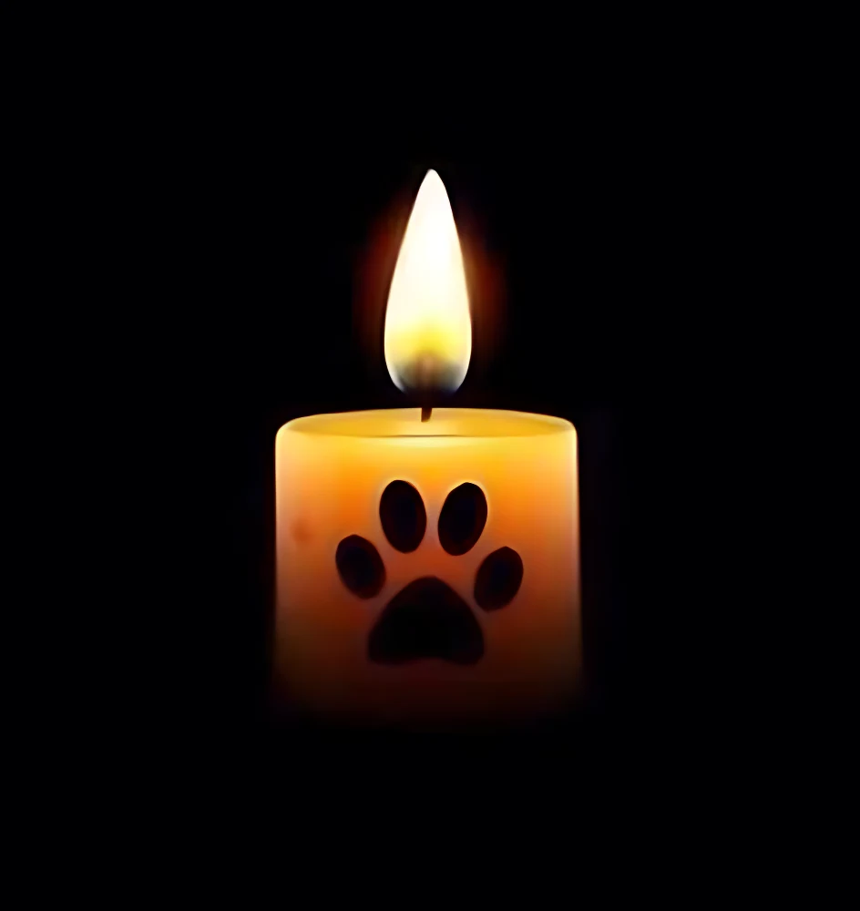 System kov candle