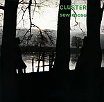 Cluster – sowiesoso