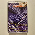 Kuumad eesti hitid kassett