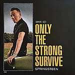 Springsteen – only the strong survive (covers vol. 1)