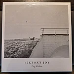 Viktor's joy – dog walker