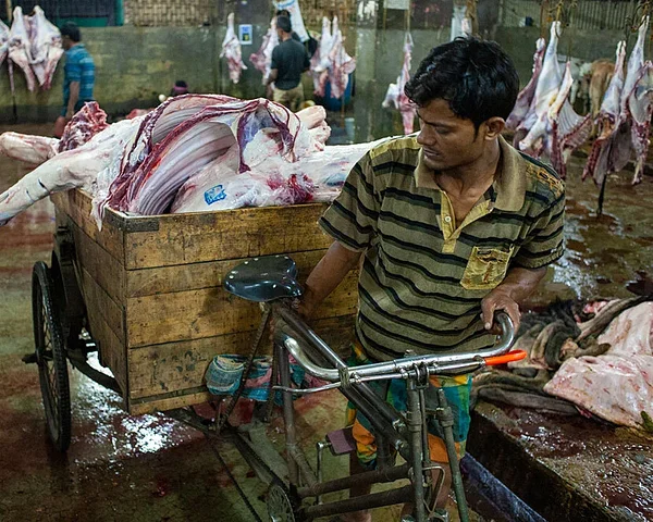Rikšajuht Bangladeshis, kes tapamajast kättetoimetamise teenust pakub. Foto: Christian Faesecke / We Animals