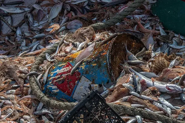Foto: Selene Magnolia Gatti / We Animals. Võrkudest Kreeka kalalaeva tekile tühjendatud kalad ja prügi.