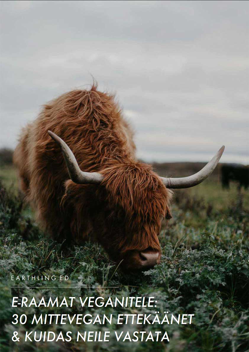 30 mittevegan ettekäänet ja kuidas neile vastata