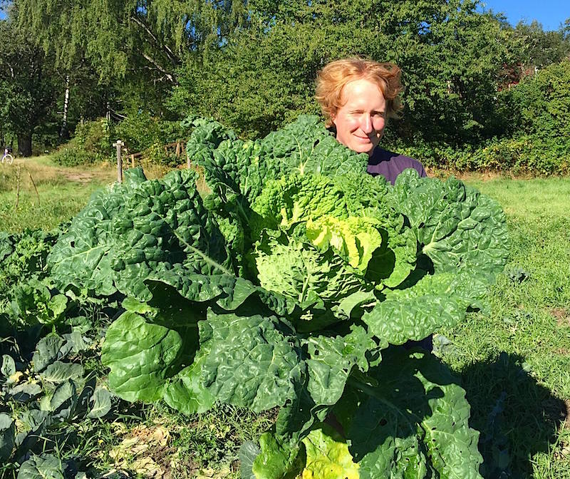 Minust sai „humaanne talunik“ et loomi aidata, kuid oleksin pidanud kohe veganiks hakkama