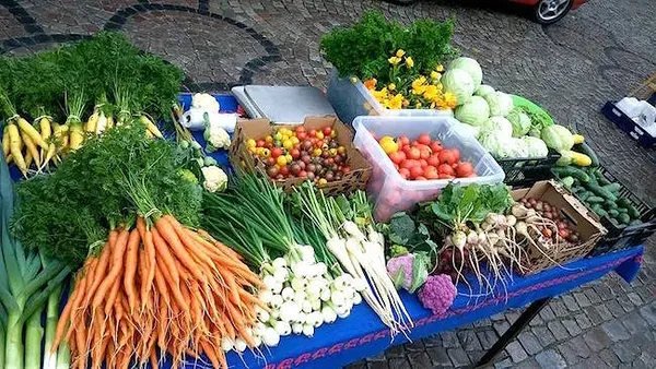Veganmeetoditega kasvatatud juurviljad Soderfeldti farmis Vegangården.