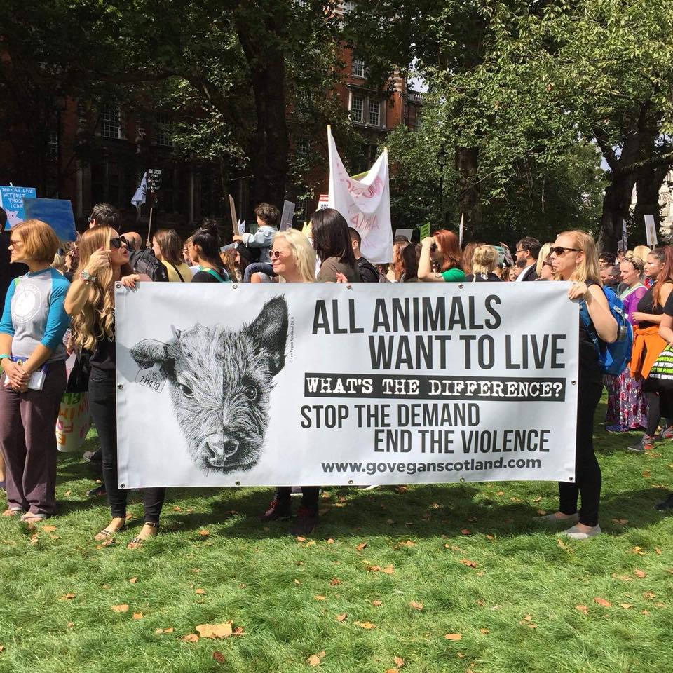 Kas veganlus on eluviis?