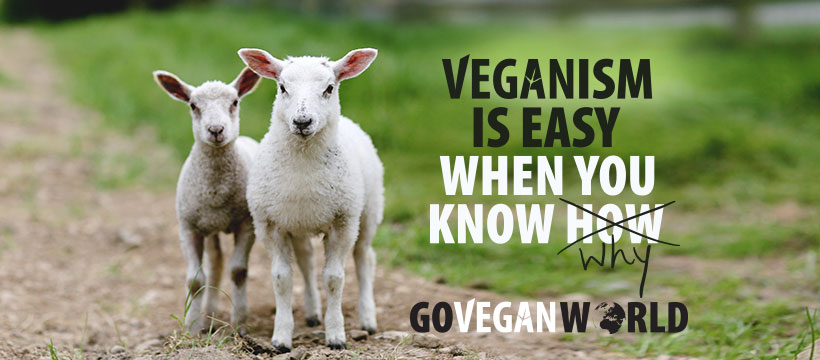 Veganlusega alustamine: eeldused muutusteks