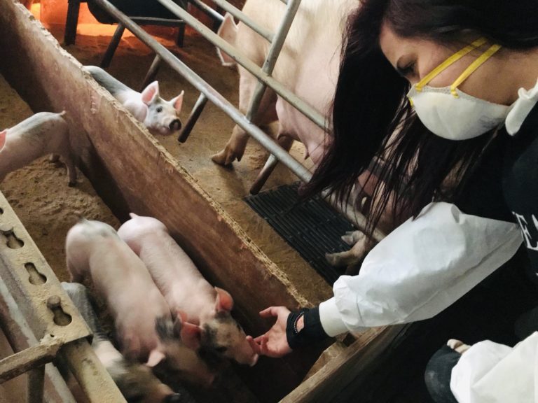 Aktivist: Meie saame koju minna, ohvrid aga jäävad põrgusse