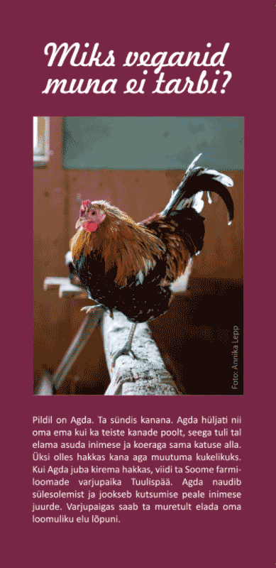 Voldik: Miks veganid muna ei tarbi?