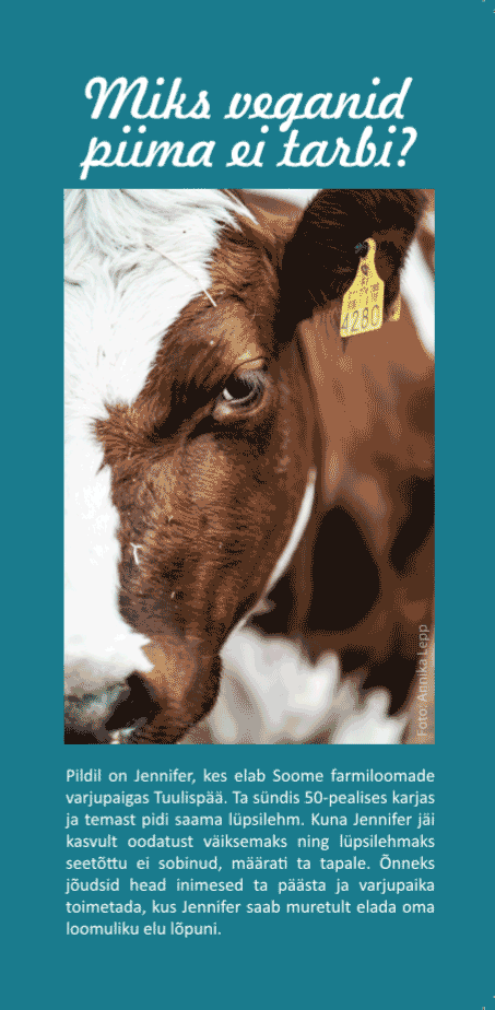 Voldik: Miks veganid piima ei tarbi?