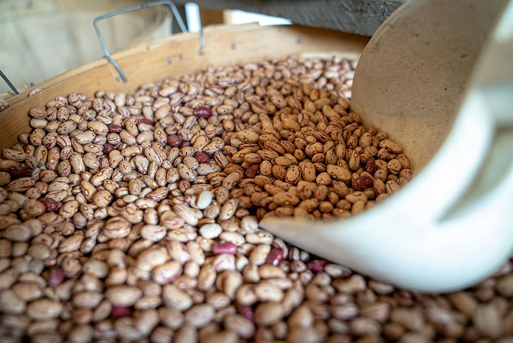 Vegan, ära valkude pärast muretse, aga söö kindlasti rohkem ube