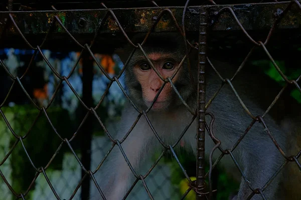 Üks õigus kõigile