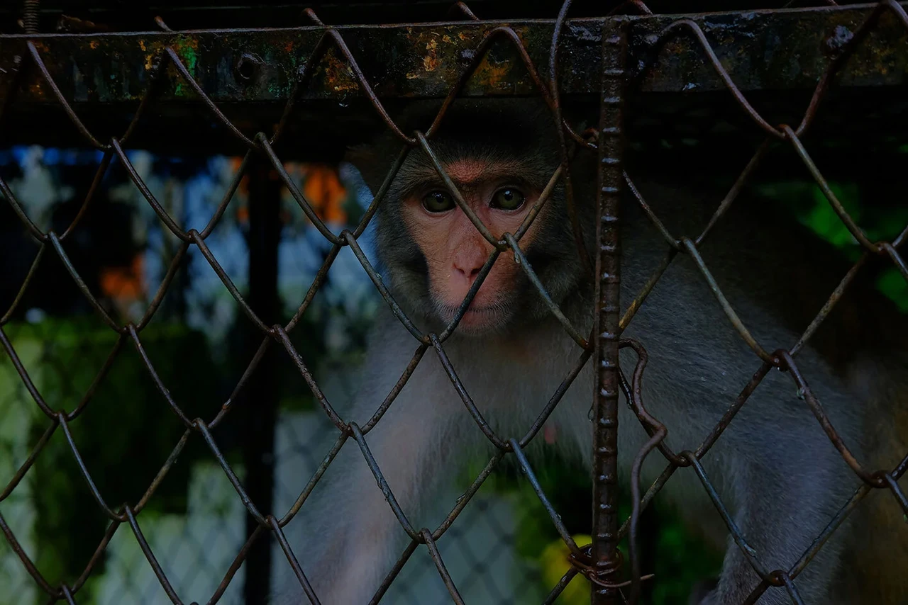 Üks õigus kõigile