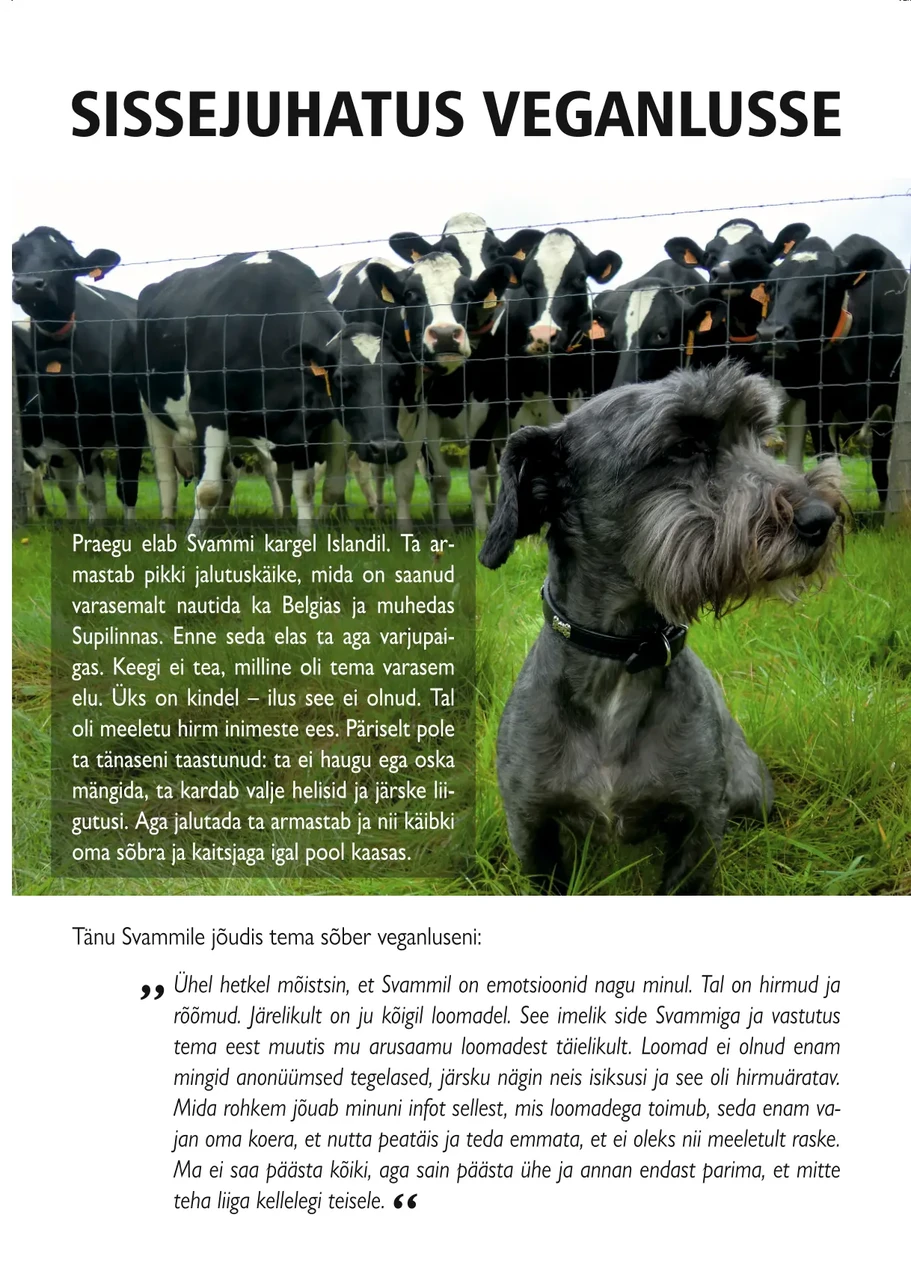 Sissejuhatus veganlusse