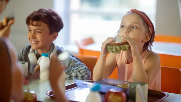 Kadri Sikk: taimetoit koolidesse – kas määruse koostajad ja minister arvestavad muutuva maailma vajadustega?