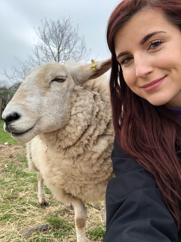 Varjupaigas. Foto: Erakogu