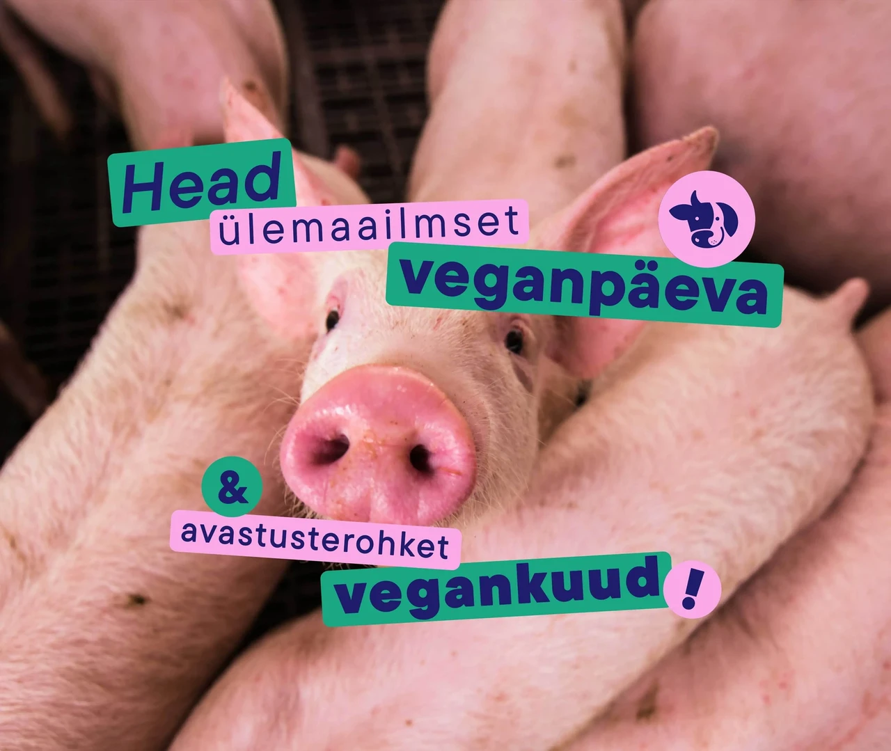 Eesti Vegan Selts