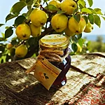 Ebakjüdoonia väike